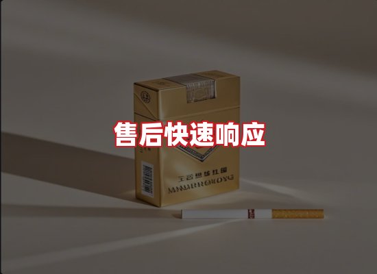 专业团队